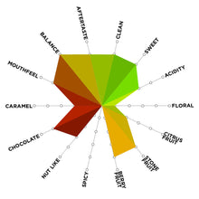 Load image into Gallery viewer, Artisan Roast - Finca Eleta Panama Cupping Chart