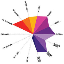 Load image into Gallery viewer, Artisan Roast - Gelana Abaya Natural Process Ethiopia Cupping Chart