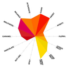 Load image into Gallery viewer, Artisan Roast - Irmas Pereira Double Pass - Brazil Cupping Chart