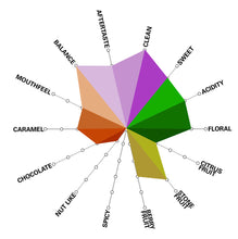 Load image into Gallery viewer, Artisan Roast - Los Andes - Colombia Cupping Chart