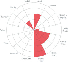 Load image into Gallery viewer, The Coffee Officina - Ethiopia Kochere Natural Cupping Chart