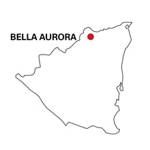Load image into Gallery viewer, Artisan Roast - Bella Aurora - Nicaragua alternate image 1