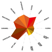 Load image into Gallery viewer, Artisan Roast - Bella Aurora - Nicaragua Cupping Chart