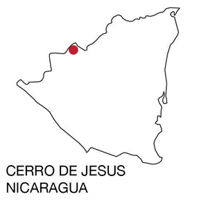 Artisan Roast - Cerro De Jesus - Nicaragua alternate image 1