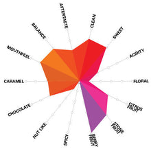 Load image into Gallery viewer, Artisan Roast - Cerro De Jesus - Nicaragua Cupping Chart