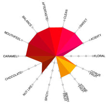 Load image into Gallery viewer, Artisan Roast - Cobblestone Blend V2.1 Cupping Chart