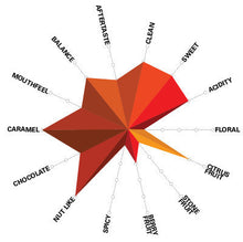 Load image into Gallery viewer, Artisan Roast - El Derrumbe Colombia Cupping Chart