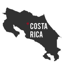 Load image into Gallery viewer, Artisan Roast - FARAMI Costa Rica alternate image 1