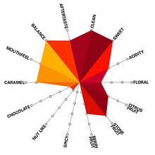Load image into Gallery viewer, Artisan Roast - FARAMI Costa Rica Cupping Chart