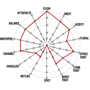 Artisan Roast - Finca Muxbal - Mexico Cupping Chart