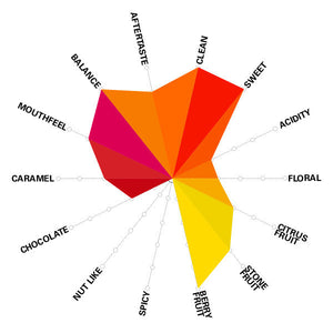 Artisan Roast - Irmas Pereira Double Pass - Brazil Cupping Chart