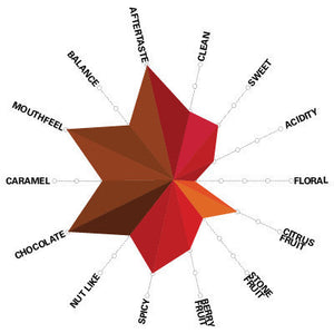 Artisan Roast - Janszoon Blend - 70% Sumatra 30% Brazil Cupping Chart