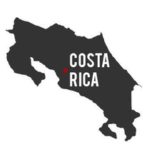 Load image into Gallery viewer, Artisan Roast - La Mesa Costa Rica alternate image 1