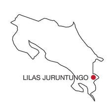 Load image into Gallery viewer, Artisan Roast - Lilas Juruntungo - Costa Rica alternate image 1