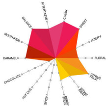 Load image into Gallery viewer, Artisan Roast - Lilas Juruntungo - Costa Rica Cupping Chart