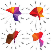 Load image into Gallery viewer, Artisan Roast - Origin Reserve Taster Pack 4 Cupping Chart