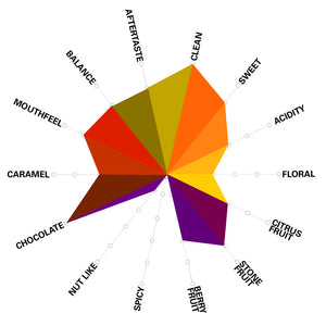 Artisan Roast - Peña Redonda Cup Of Excellence #12 El Salvador Cupping Chart