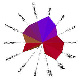 Artisan Roast - Ruli Musasa - Rwanda Cupping Chart