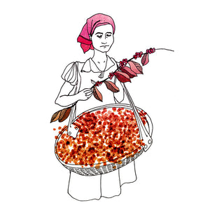 Artisan Roast - San Augustin Natural Process - Guatemala