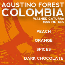 Load image into Gallery viewer, Avenue Coffee - Agustino Forest (Colombia)