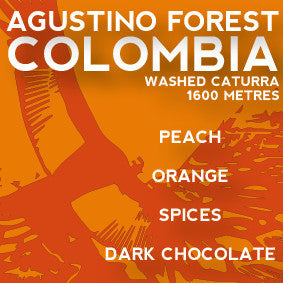 Avenue Coffee - Agustino Forest (Colombia)