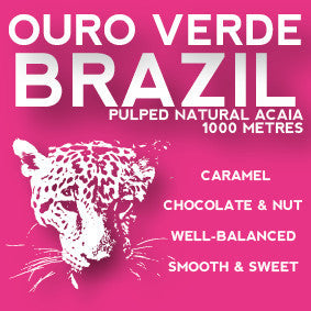 Avenue Coffee - Fazenda Ouro Verde (Brazil)