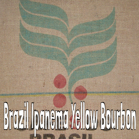 Beanzz Coffee - Brazil Ipanema Yellow Bourbon
