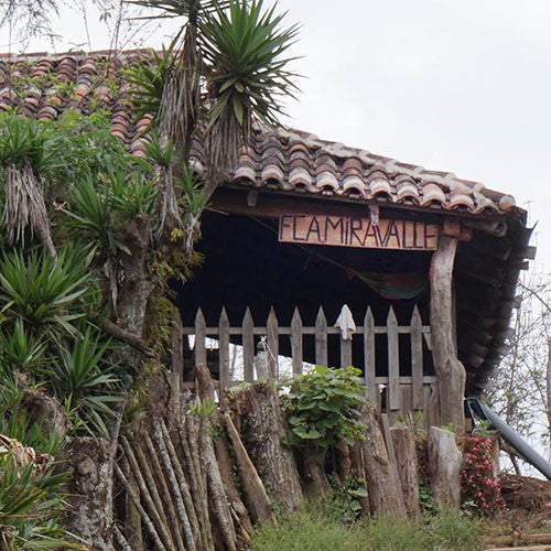 Clifton Coffee - El Salvador: Finca Miravalle