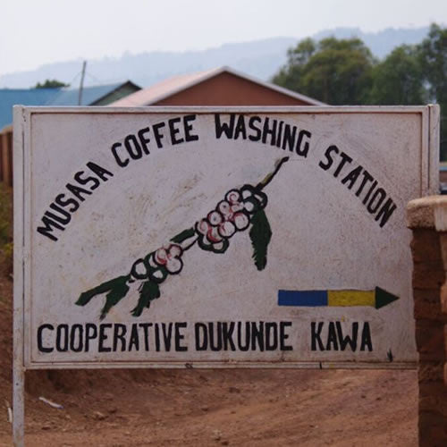 Clifton Coffee - Rwanda: Musasa Mbilima