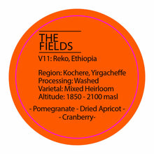 Load image into Gallery viewer, Climpson and Sons - Fields V11: Reko, Ethiopia