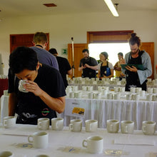 Load image into Gallery viewer, Climpson and Sons - Single Origin: El Recuerdo Microlot, Colombia alternate image 1