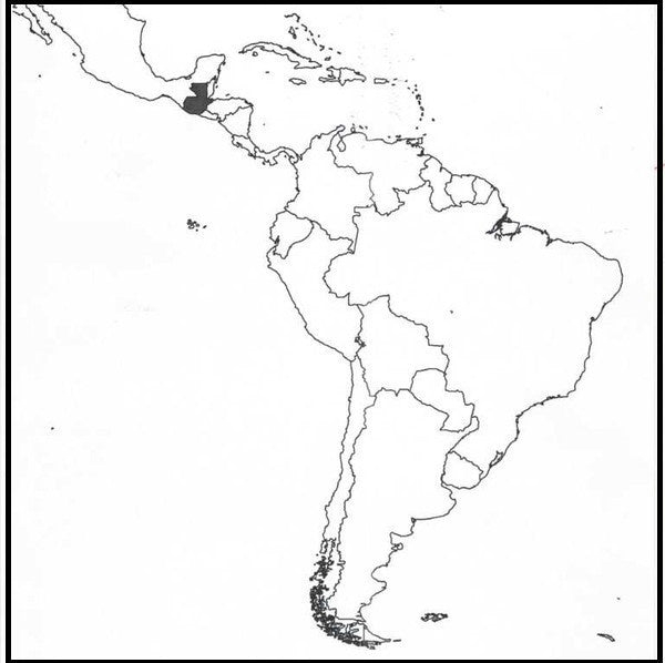 Climpson and Sons - Single Origin: Finca El Amate, CoE, Guatemala