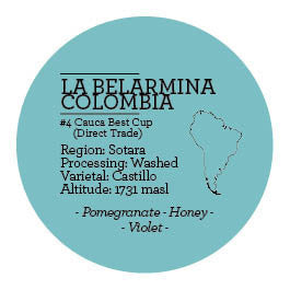 Climpson and Sons - Single Origin: La Belarmina Microlot, Sotara, Colombia