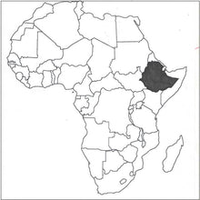 Load image into Gallery viewer, Climpson and Sons - Single Origin: Sidamo Sasaba, Ethiopia