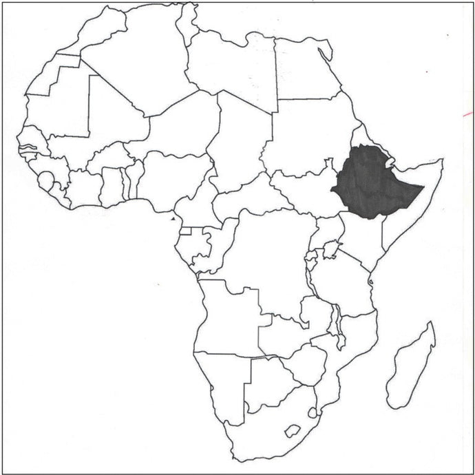 Climpson and Sons - Single Origin: Sidamo Sasaba, Ethiopia