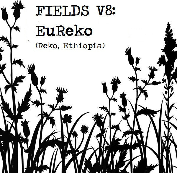 Climpson and Sons - The Fields V8, Single Origin Espresso: EuReko