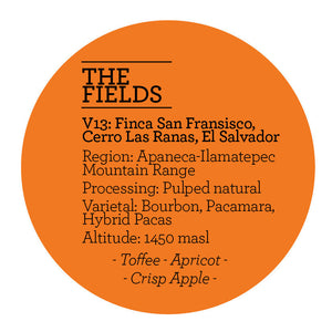 Climpson & Sons - Fields V13: Finca San Francisco, Cerro Las Ranas, El Salvador