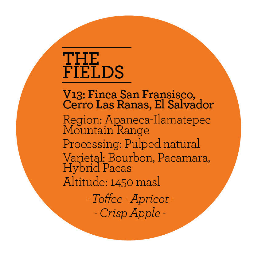 Climpson & Sons - Fields V13: Finca San Francisco, Cerro Las Ranas, El Salvador