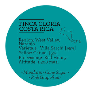 Climpson & Sons - Single Origin: Finca Gloria, Costa Rica