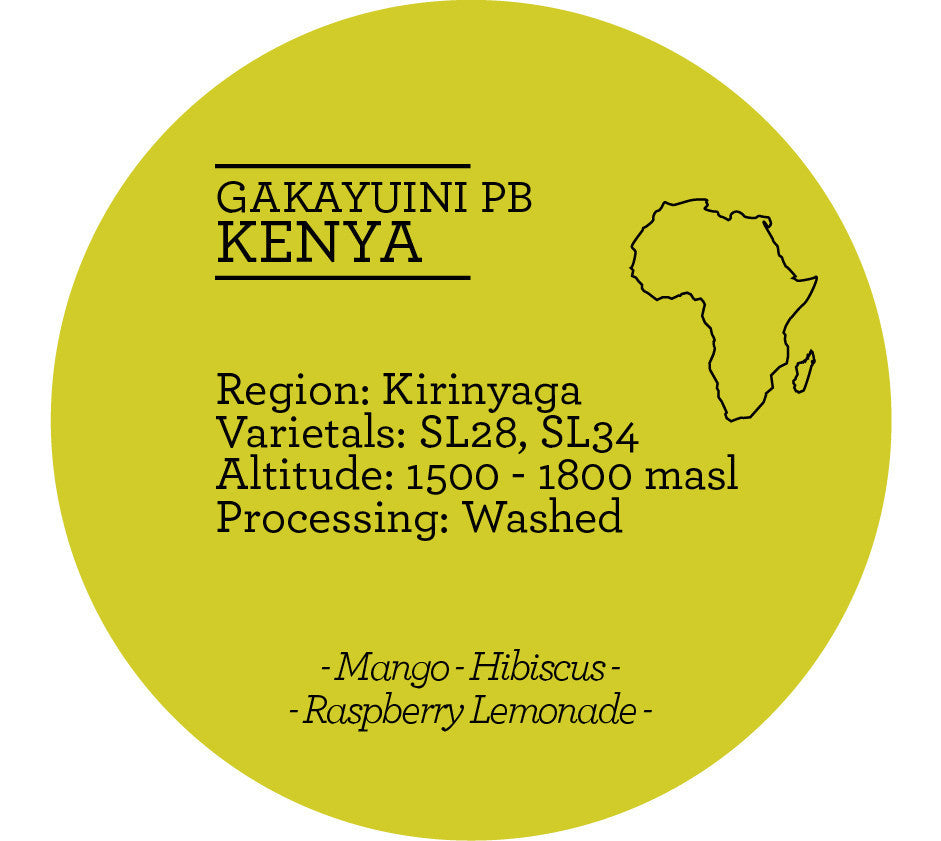 Climpson & Sons - Single Origin: Gakayuini Pb, Kenya