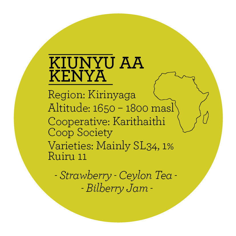 Climpson & Sons - Single Origin: Kiunyu AA, Kenya
