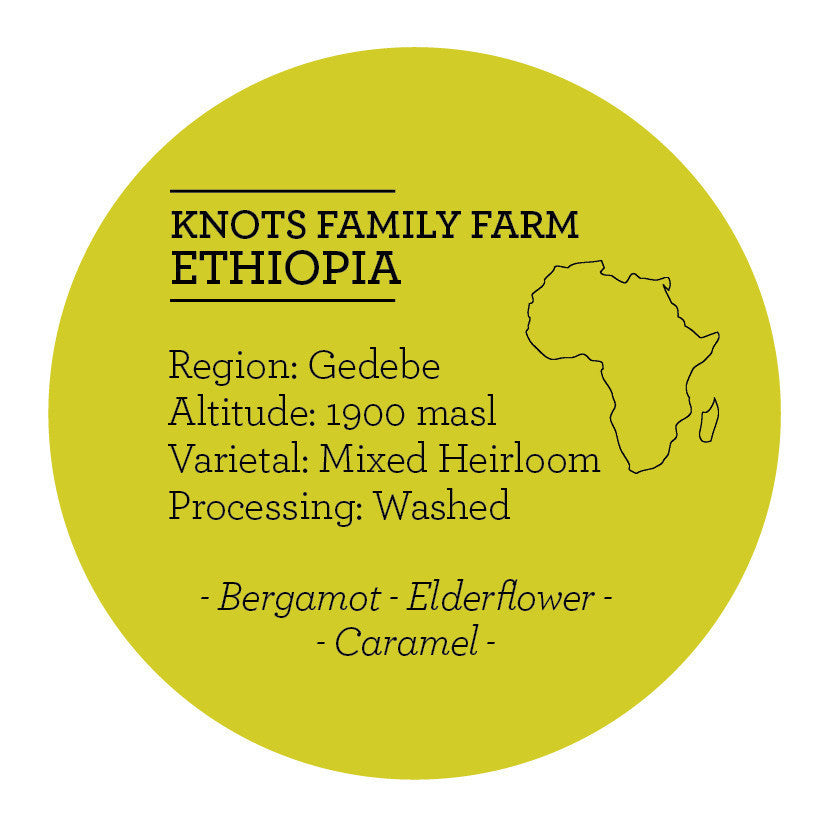 Climpson & Sons - Single Origin: Knots Family, Ethiopia