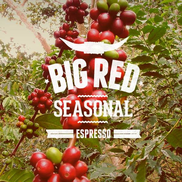 Coffee Factory - Big Red Seasonal Blend