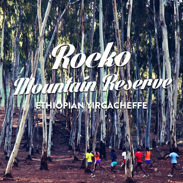 Coffee Factory - Ethiopian Rocko Mountain Reserve