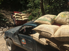 Load image into Gallery viewer, Dear Green Coffee - El Salvador - La Mina - Microlot - Pacas alternate image 1
