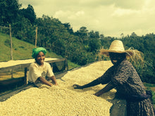 Load image into Gallery viewer, Dear Green Coffee - Tanzania - Ilomba AA alternate image 1