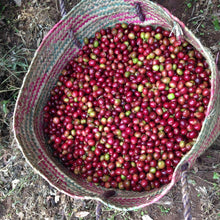 Load image into Gallery viewer, Dear Green Coffee - Tanzania - Ilomba AA