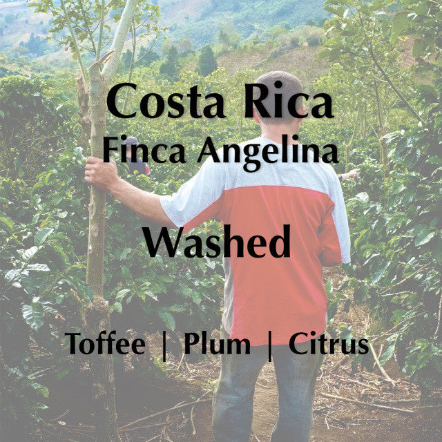 Horsham Coffee Roaster - Costa Rica Finca Angelina
