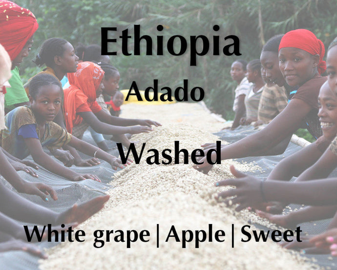 Horsham Coffee Roaster - Ethiopia Adado Washed - New Crop