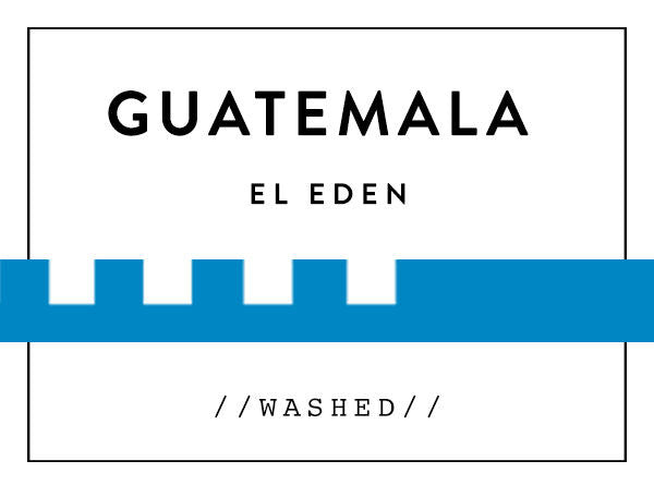 Horsham Coffee Roaster - Guatemala El Eden